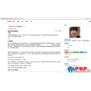 查看演示截图