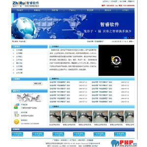 查看演示截图