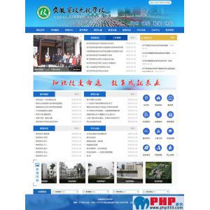 查看演示截图