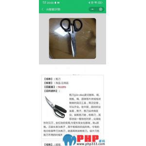 查看演示截图